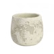image 1 of Rustic Cement Aged Look Bowl Plant Pot  - 12cm