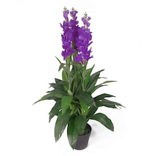 Artificial 100cm Cymbidium Orchid Plant - Extra Large - Purple Flowers