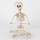 image 2 of Halloween Prop Movable Skeleton Hanging Decoration 50cm