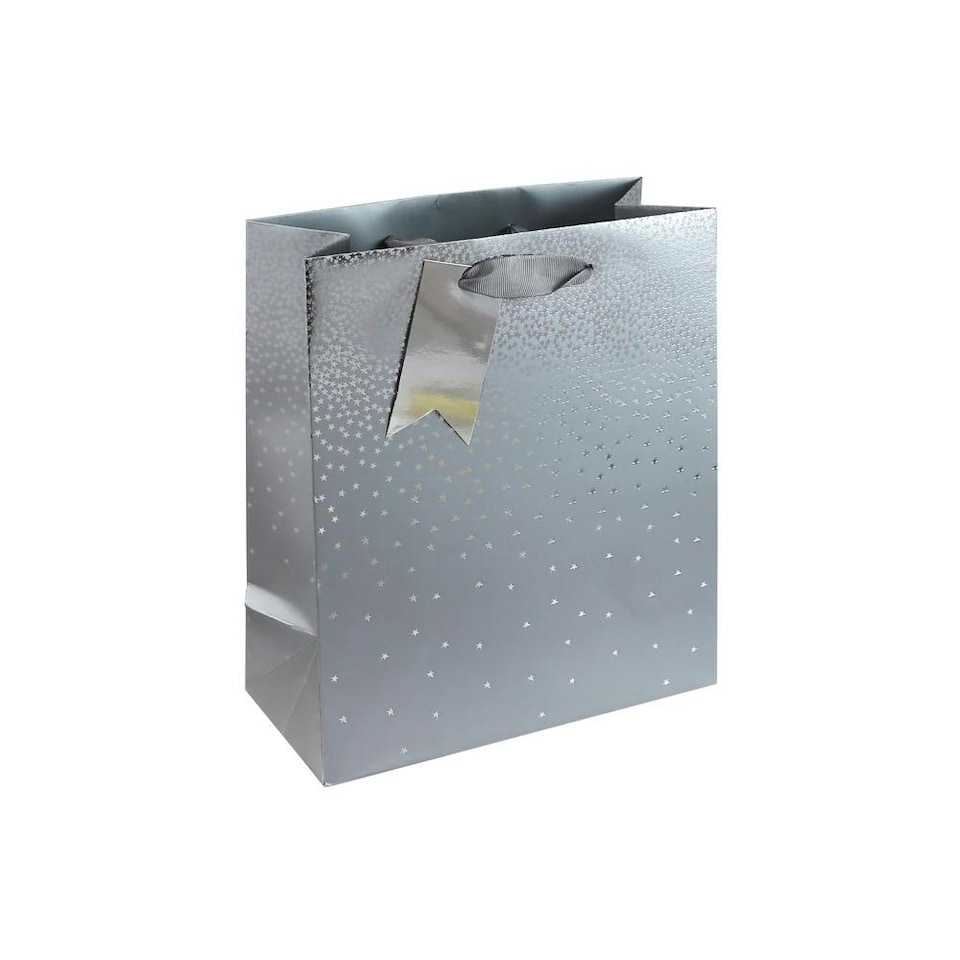 Pack of 6 Silver Ombre Christmas Medium Gift Bags