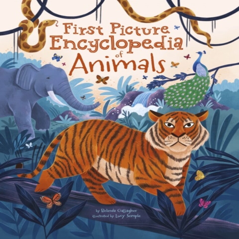 First Picture Encyclopedia Of Animals