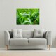 image 2 of Green Leaves corn fields as background (Canvas Print) 101 x 77 x 4cm