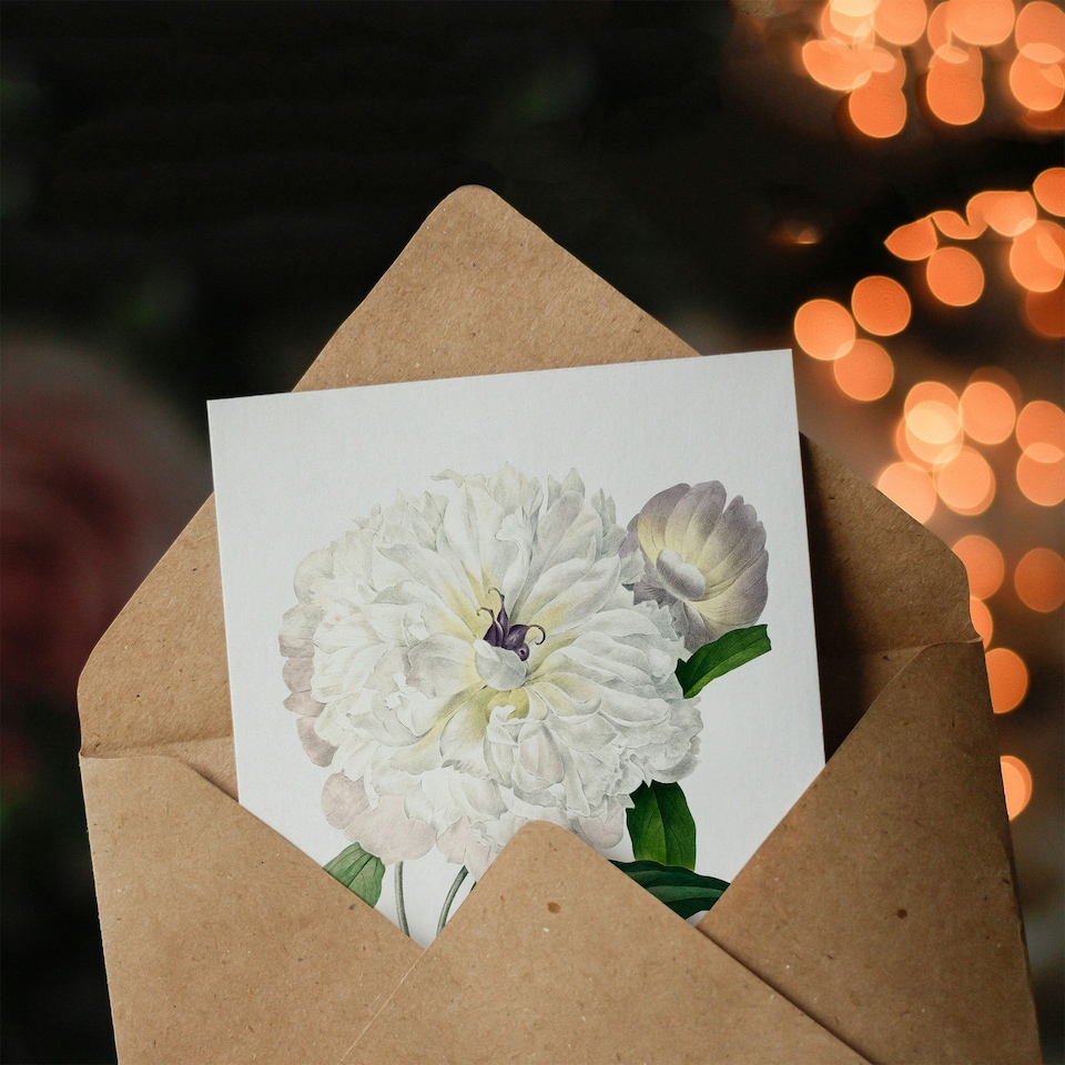 image 1 of Pierre-Joseph Redouté Art Card Vintage Peony Flower Illustration