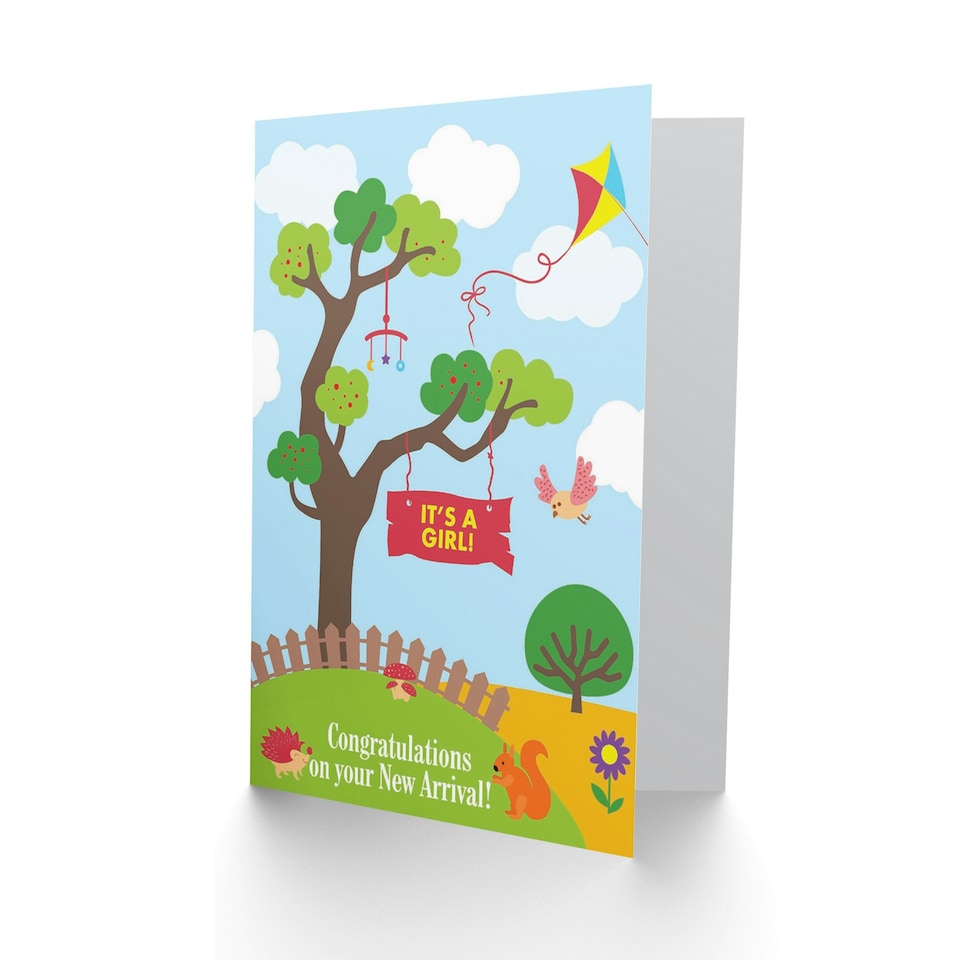 image 1 of Congratulations Girl Arrival Countryside Animals Cartoon New Baby Card