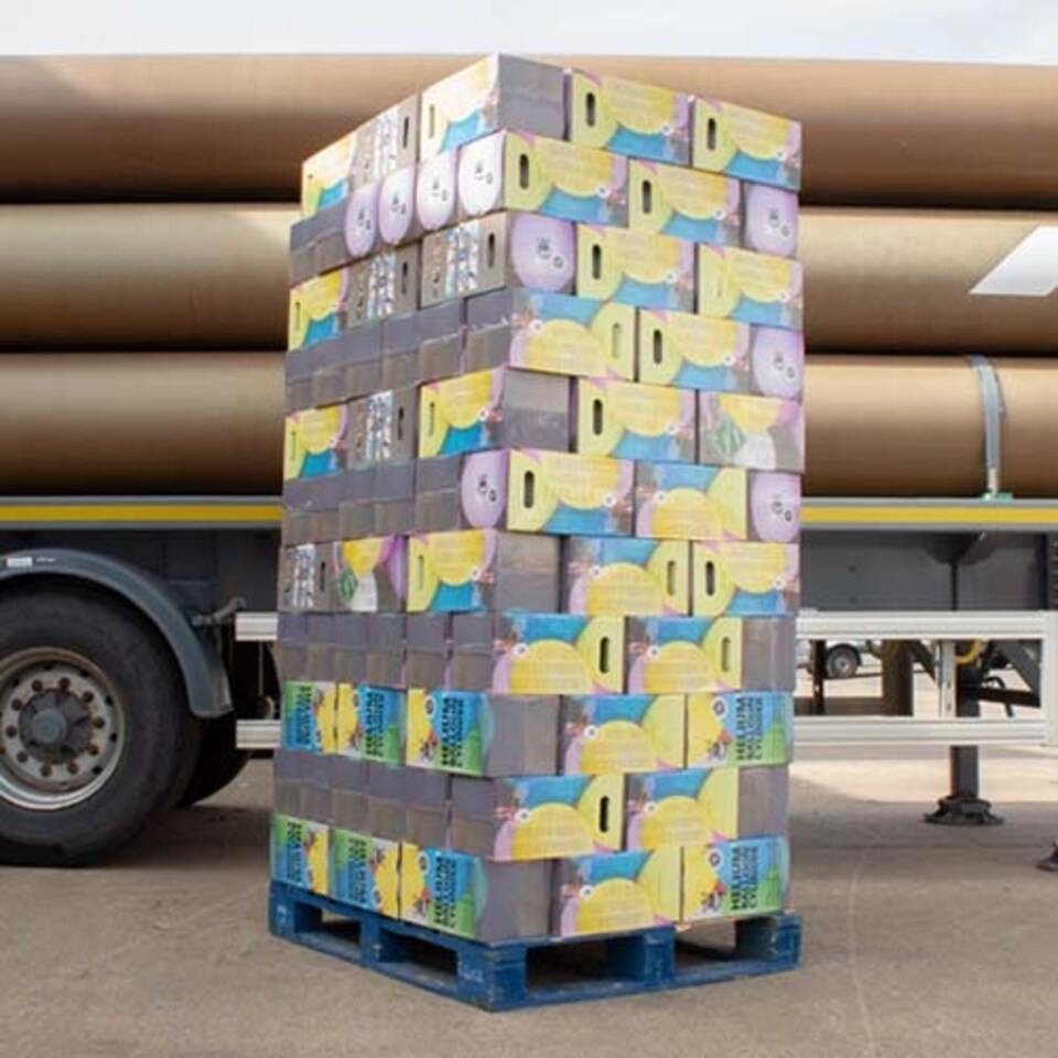image 1 of Pallet of 150 Small Disposable Helium Gas Canisters