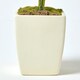 image 4 of Homescapes Small Cream Artificial Hydrangea Flower in Cream Pot, 38 cm Tall