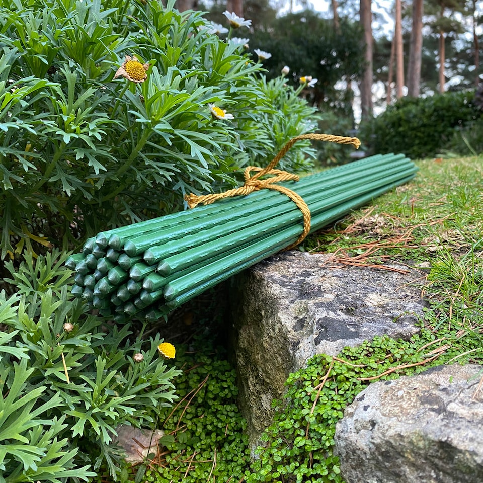 image 1 of Plastic Coated Metal Garden Plant Support Sticks (60cm) - Pack of 40