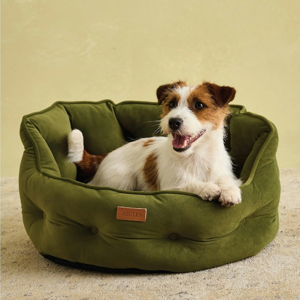 image 1 of Joules Khaki Chesterfield Luxury Dog Bed - Small Green | One Size