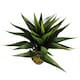 image 4 of 55cm Artificial Yucca Plant | Green | One Size