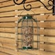 image 2 of Pack of 12 Wild Bird Hanging Nut Feeder with Squirrel Guard