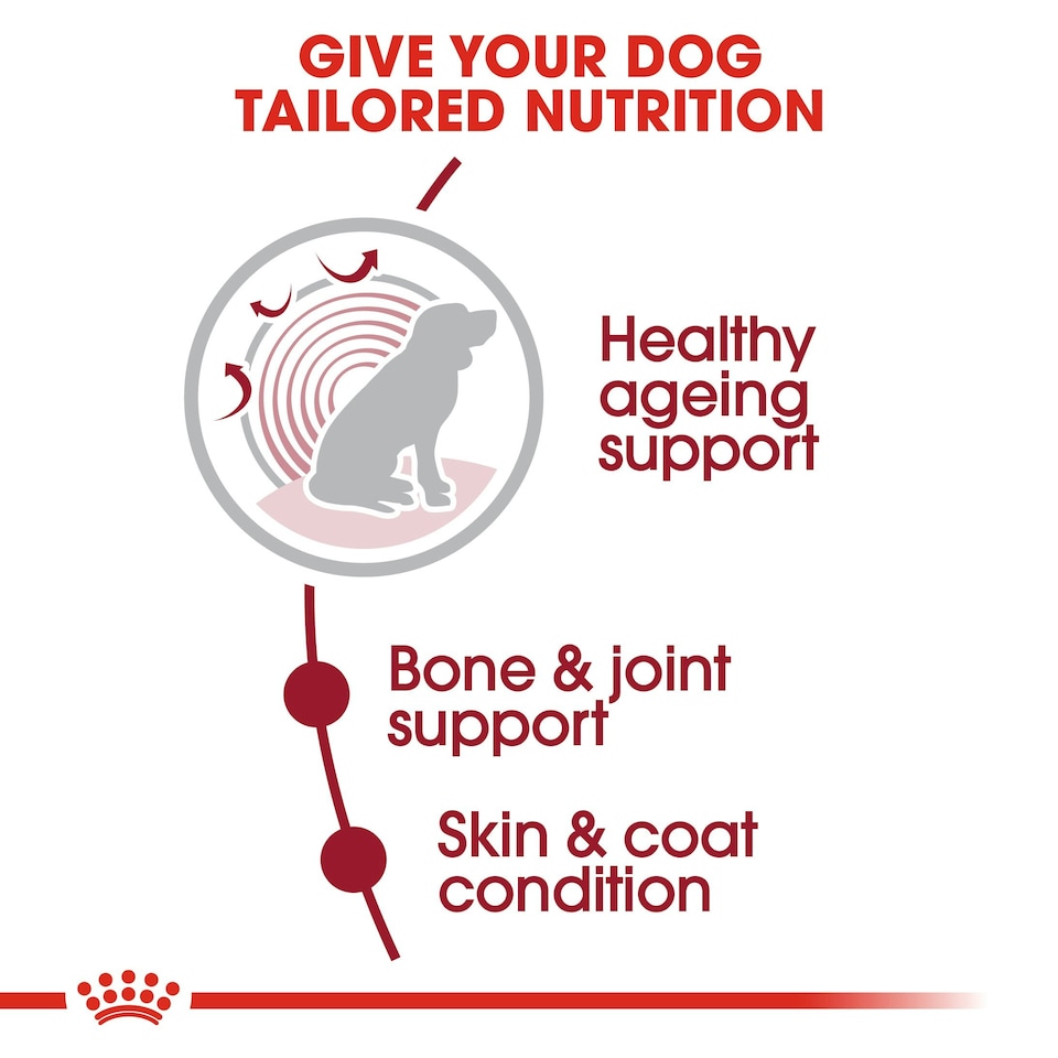 image 1 of Royal Canin Medium Ageing 10+ N/A | Size: 3kg
Breed: Adult