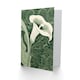 image 2 of Single White Calla Lily Flower Nouveau Sympathy Birthday Her Card