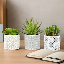 Fiori Set of 3 Succulents in Henna Ceramic Pots