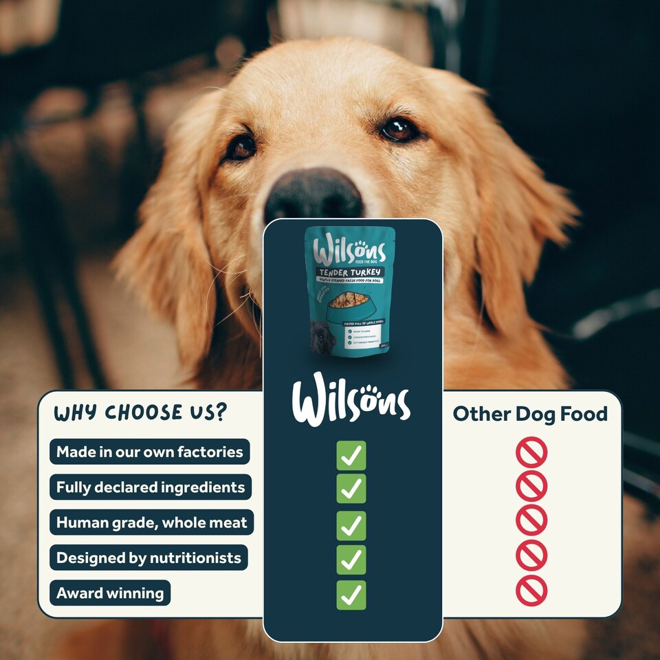 image 1 of Wilsons Mixed Fresh Dog Food Bundle Natural Healthy Complete Nutrition Pouches - 8x  380g Pouches
