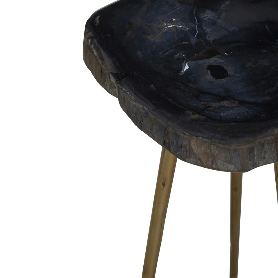 image 1 of Relic Side Table With Petrified Wood Top and Brass Finish Legs Brown