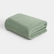 image 1 of OHS Teddy Fleece Soft Warm Plush Cosy Plain Dyed Throw Over Bed Blanket, 125x150cm Green | Evergreen