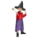image 1 of Room On The Broom Julia Donaldson Girls Fancy Dress Costume Kids Medium - Age 7-9