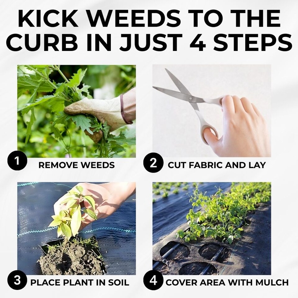 image 1 of Weed Control Membrane Barrier Fabric - 100gsm Heavy Duty - 4m x 100m | Black | 4M x 100M | 1