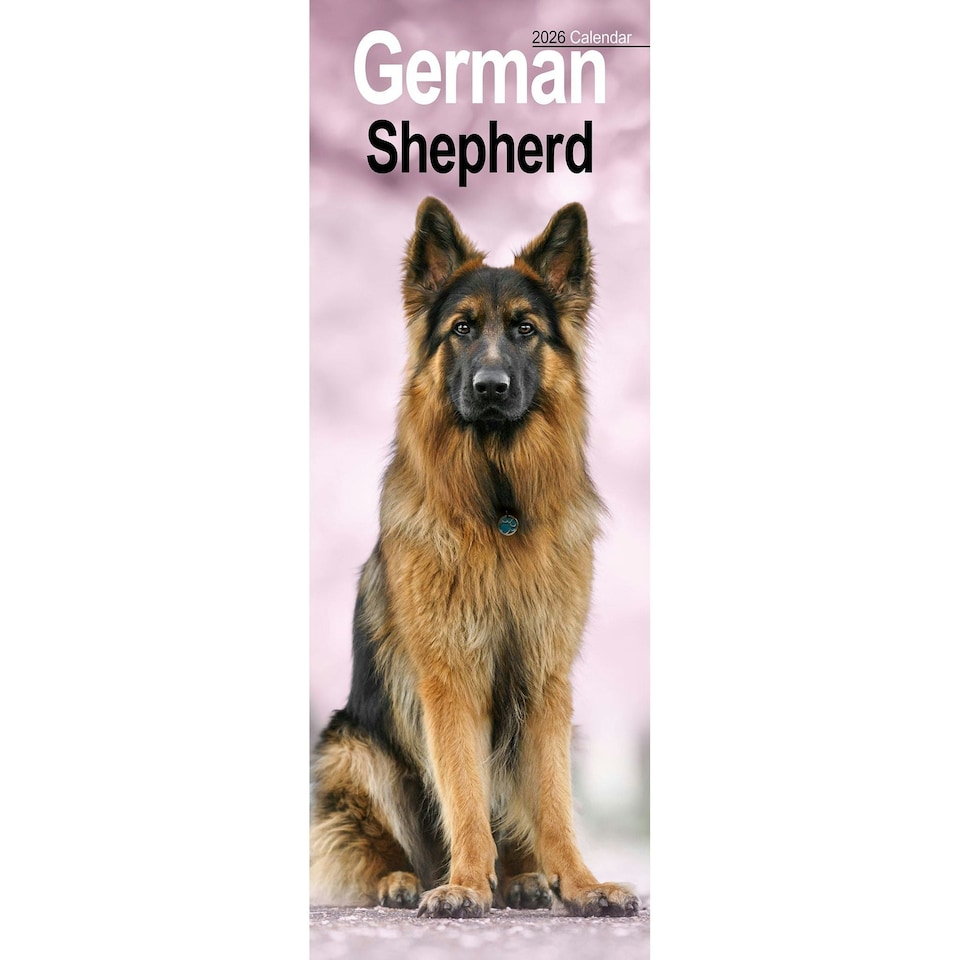 image 1 of German Shepherd Slim 2026 Calendar | Slimline Wall Calendar | Dog Breed Gift | Plastic Free Packaging | Avonside Publishing Ltd