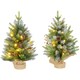image 1 of HOMCOM 2 Pieces 2' Prelit Artificial Tabletop Christmas Trees, LED Display