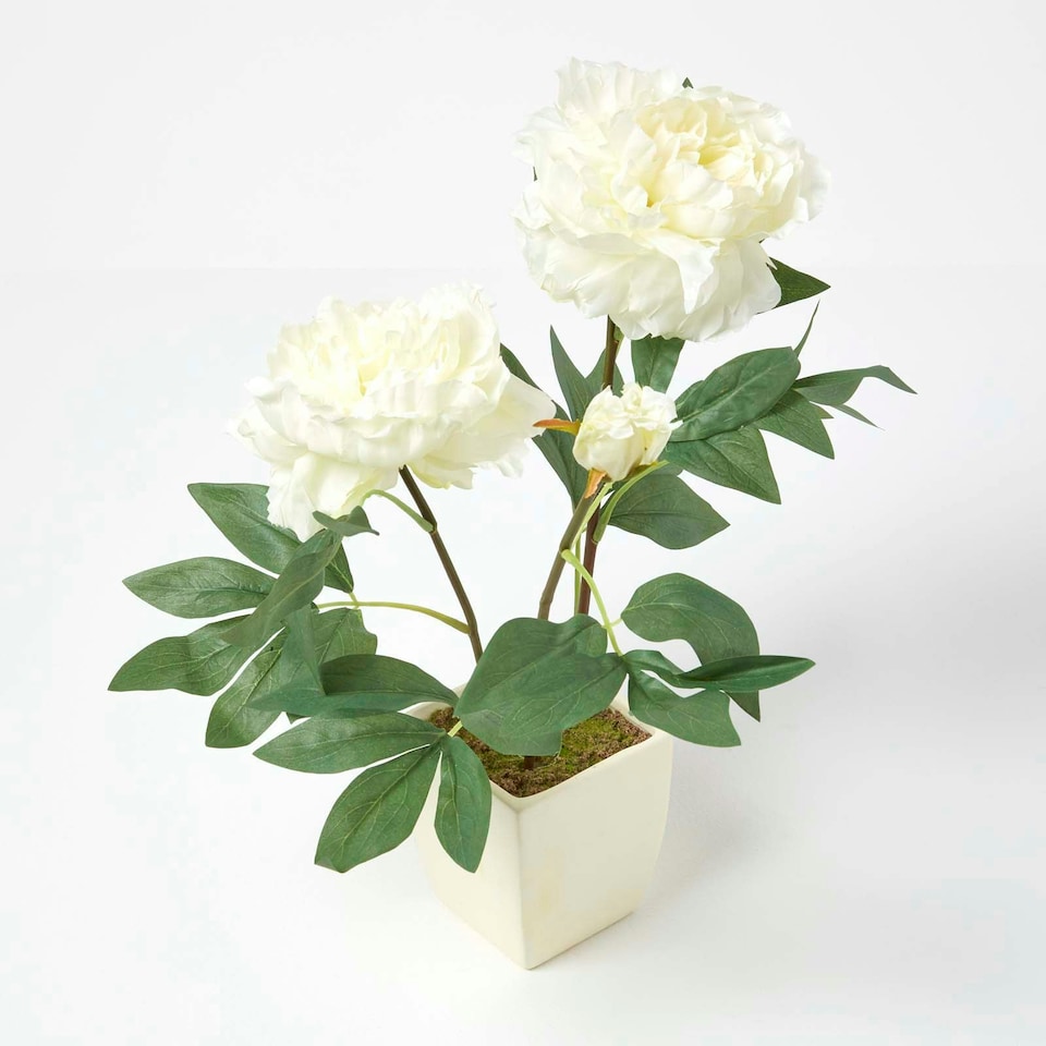 image 1 of Homescapes Cream Artificial Peonies in Decorative Cream Pot, 48 cm Tall