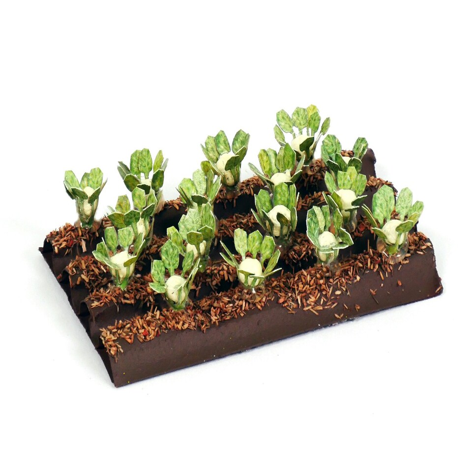 Gaugemaster Scenics Cauliflower Plants (16)