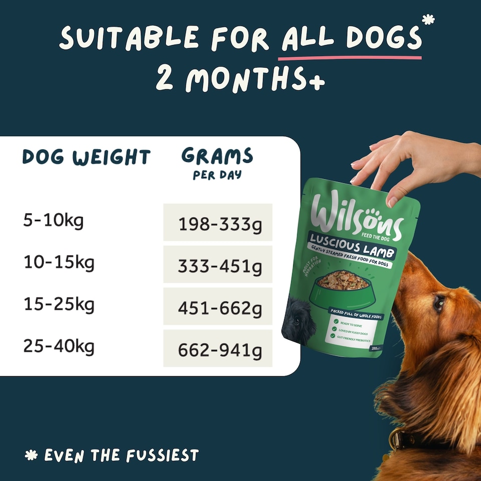 image 1 of Wilsons Mixed Fresh Dog Food Bundle Natural Healthy Complete Nutrition Pouches - 8x  380g Pouches