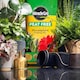 image 6 of Miracle-Gro Peat Free Houseplant Potting Mix - 10L