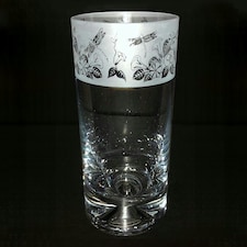 Animo Glass Highball Glass Etched Tumbler Dragonfly