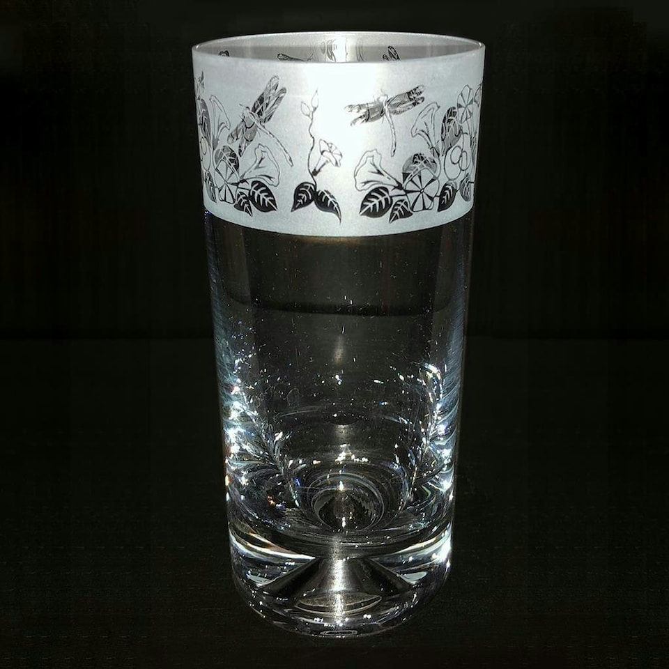 Animo Glass Highball Glass Etched Tumbler Dragonfly