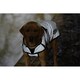 image 3 of Weatherbeeta Comfitec Reflective Dog Jacket - Silver - 25cm