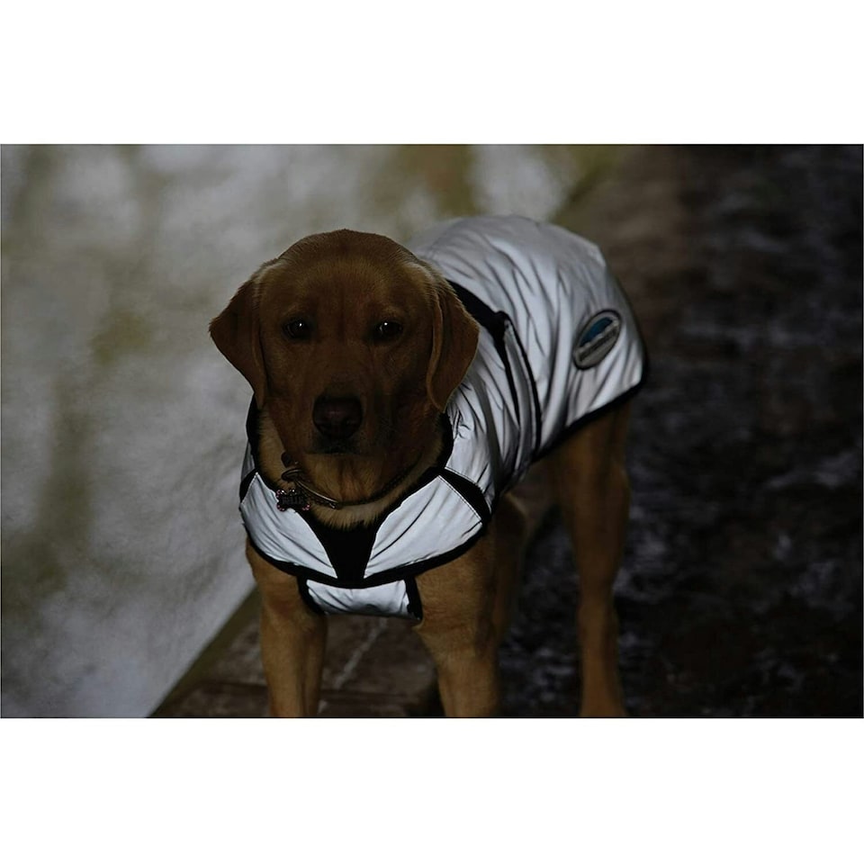 image 1 of Weatherbeeta Comfitec Reflective Dog Jacket - Silver - 25cm