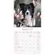 image 3 of Border Collie 2026 Calendar | Square Wall Calendar | Dog Breed Gift | Plastic Free Packaging | by Avonside Publishing