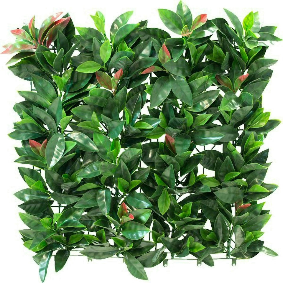 image 1 of Primrose American Beech Artificial Patio Hedge Panels 50cm x 50cm Set of 4