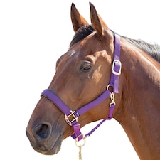 Shires Topaz Nylon Horse Headcollar - Purple - Small Pony