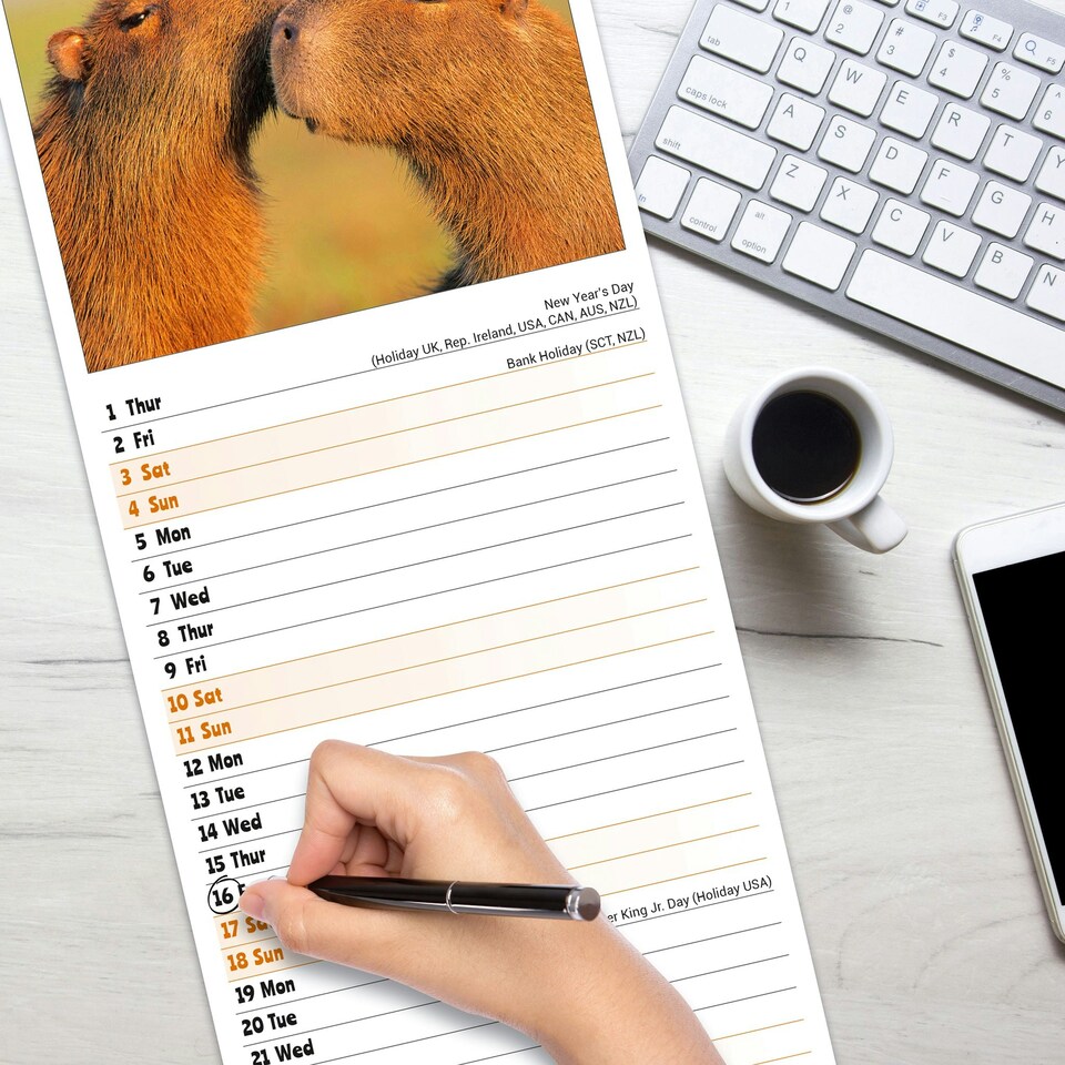 image 1 of Capybara Slim 2026 Calendar | Slimline Wall Calendar | Animal Gift | Plastic Free Packaging | by Avonside Publishing [Calendar] Avonside Publishing Ltd