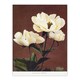 image 3 of Ogawa Kazumasa Framed Wall Art Print White Herbaceous Peony Flowers Home Décor