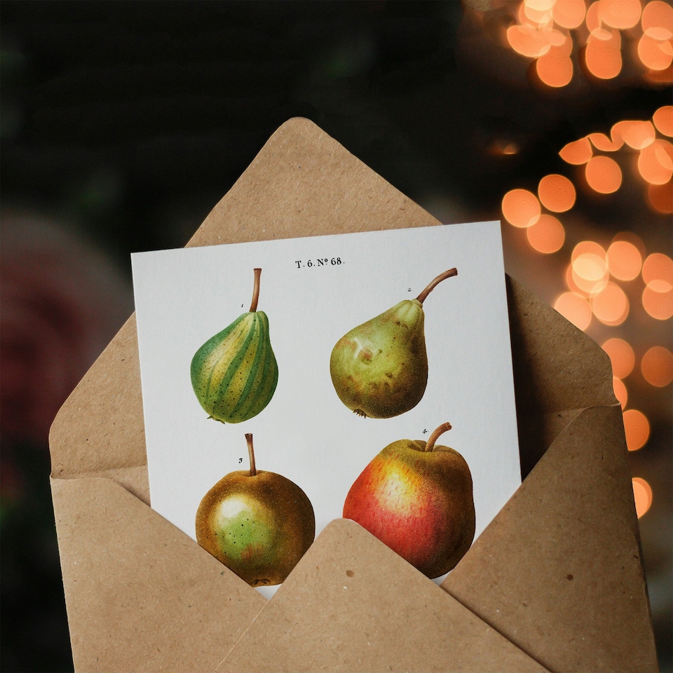 image 1 of Pierre-Joseph Redouté Art Card Pear Varieties Vintage Illustration