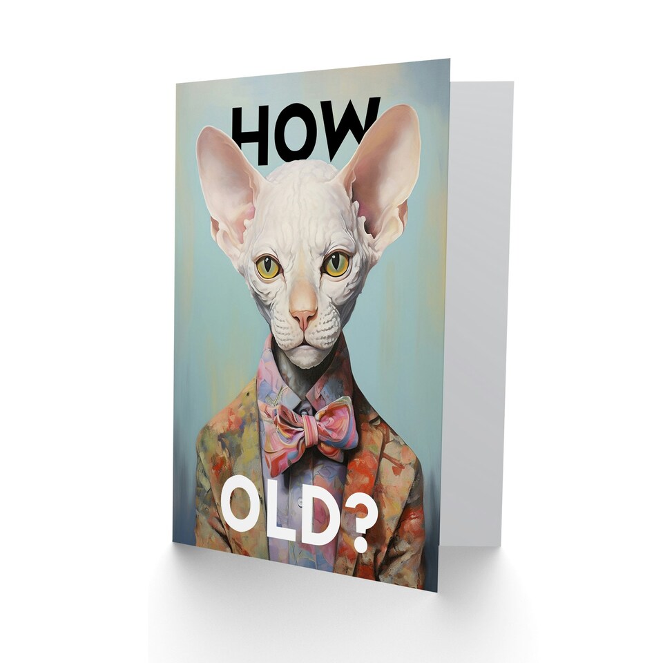 image 1 of Stylish Sphynx Cat How Old For Him Her Funny Birthday Card