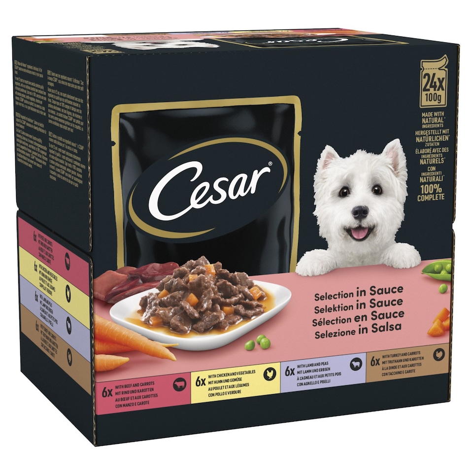 image 1 of 96 x 100g Cesar Luxury Adult Wet Dog Food Pouches Mixed Favourites In Sauce