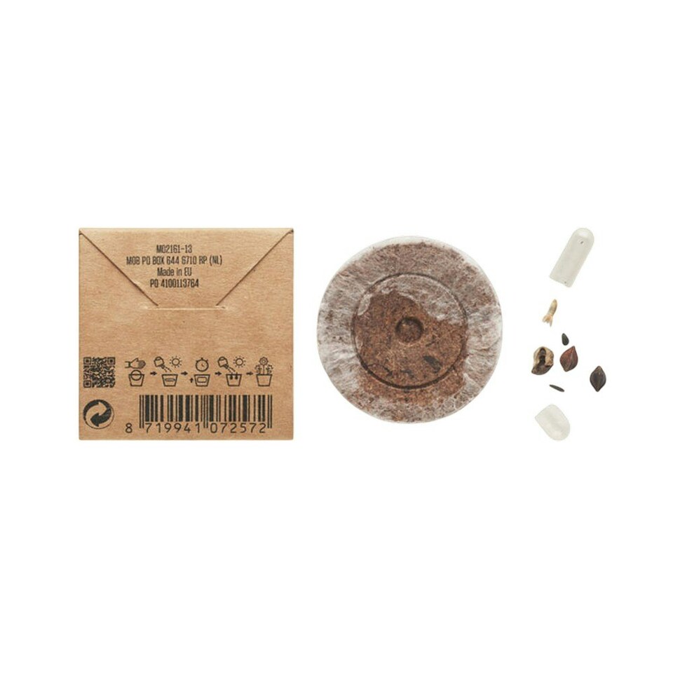 image 1 of MidOcean Flomix Disc Flower Seeds - Beige - One Size