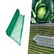 image 3 of Pegdev Green Heavy Duty Plants & Crops Netting 2m x 8m UV Stabilised Mesh