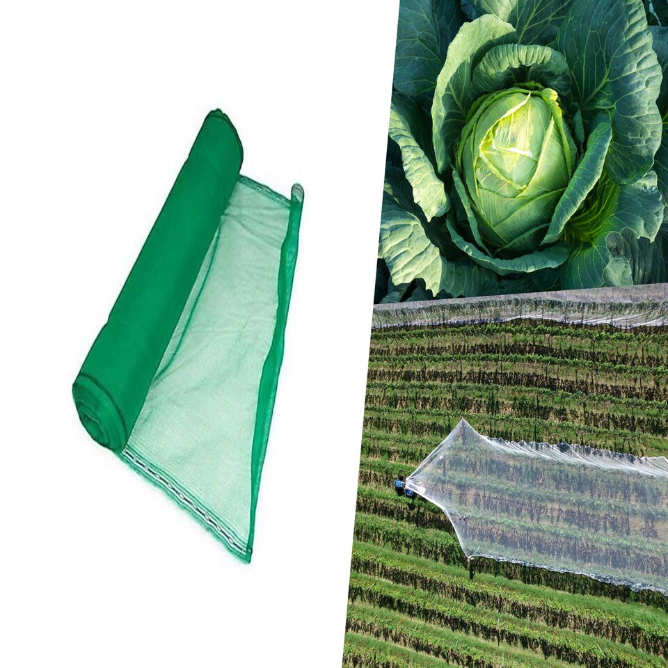 image 1 of Pegdev Green Heavy Duty Plants & Crops Netting 2m x 8m UV Stabilised Mesh