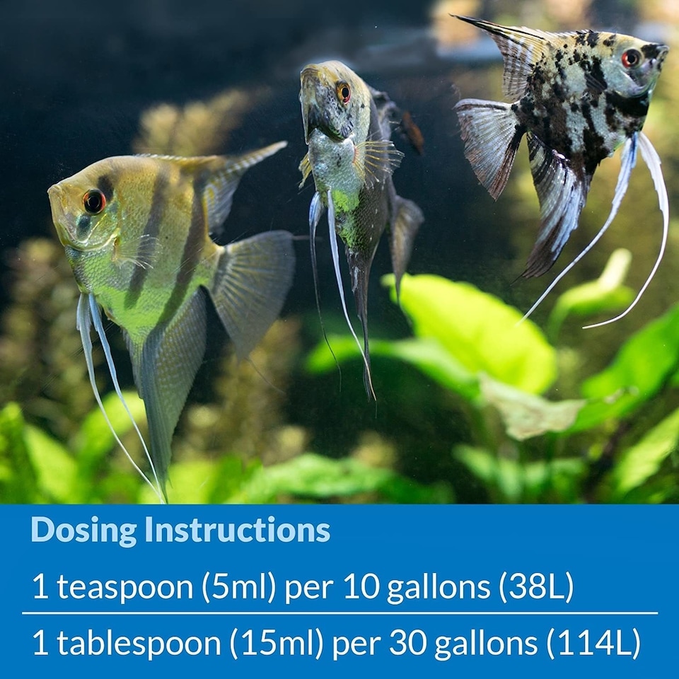 image 1 of API Stress Coat 473ml and API Stress Zyme 473ml Bundle Aquarium Water Conditioner and Bacteria Water Treatment