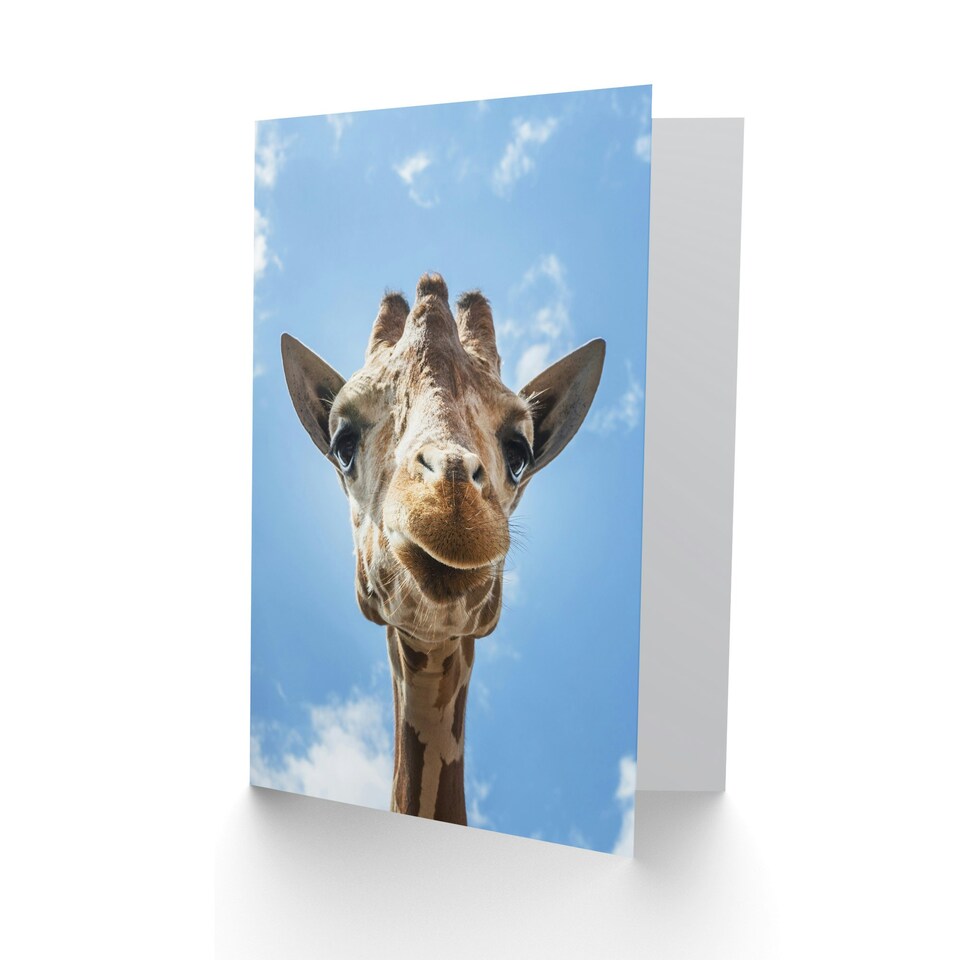 image 1 of Carol M Highsmith Art Card Giraffe Head Up Close Look