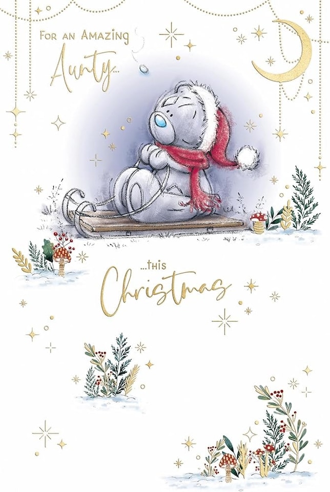 image 1 of Bear On Sledge Aunty Christmas Card