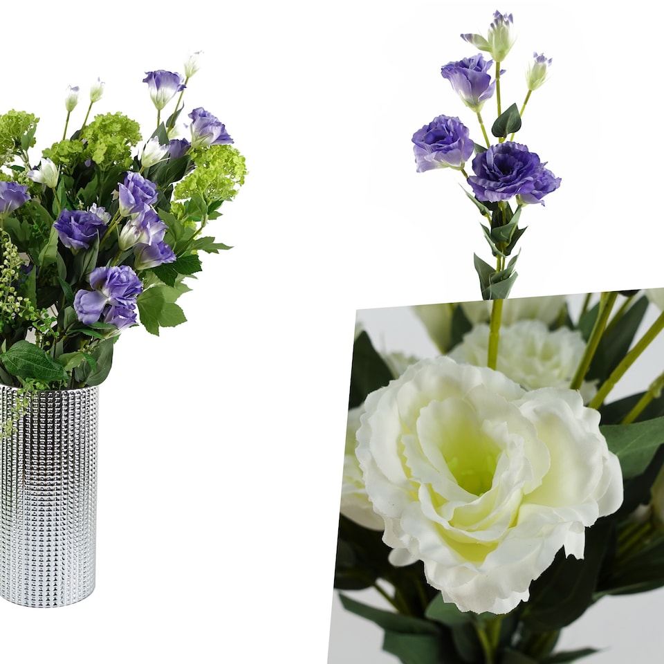 image 1 of Pegdev Pack of 6 80cm Artificial White Wild Rose Stems with Silk Flowers