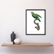image 4 of The Marigold Lorikeet Parrot Levaillant Framed Wall Art Print 12X16"