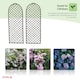 image 6 of Set of 2 Willow Trellis Fencing Panel Screen Climbing Trellises
