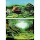 image 2 of Superfish Deco Poster C (Mossy Aquascape) N/A | 100cm x 49cm
